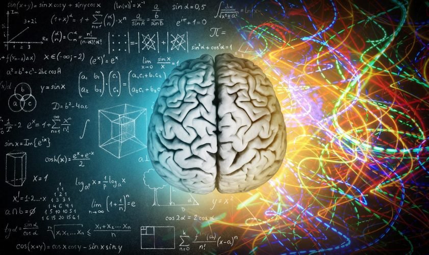 MASTER BOSS LLC | The Whole-Brain Hobby: How Model Building Stimulates Both Hemispheres of the Brain